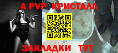 бошки Кингисепп