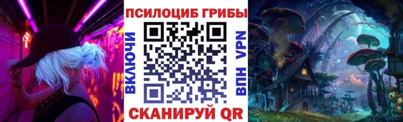 где можно купить наркотик Янаул Псилоцибиновые грибы Psilocybe
