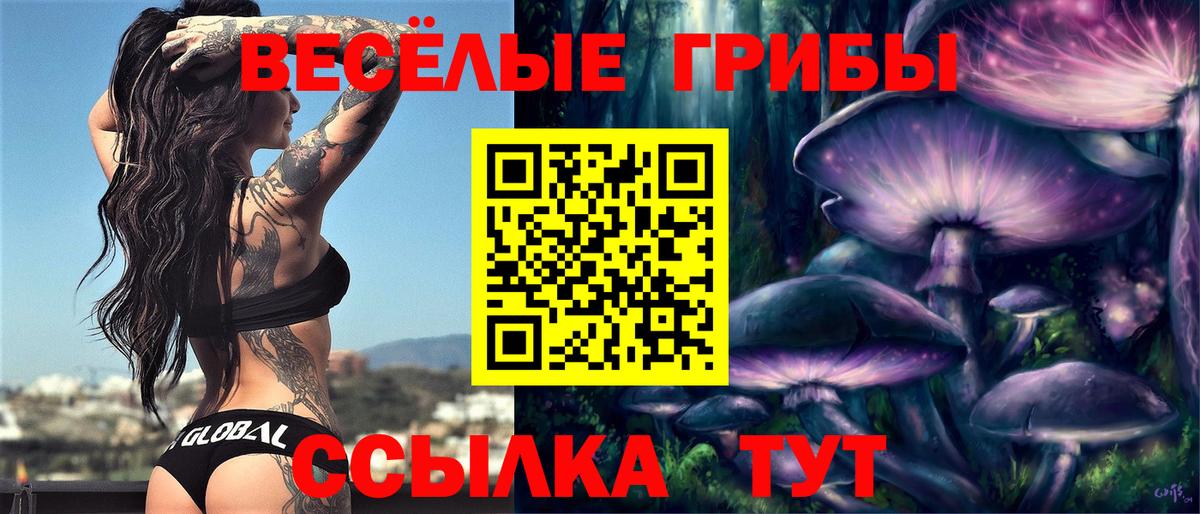 Псилоцибиновые грибы GOLDEN TEACHER  Вход с VPN  Янаул 