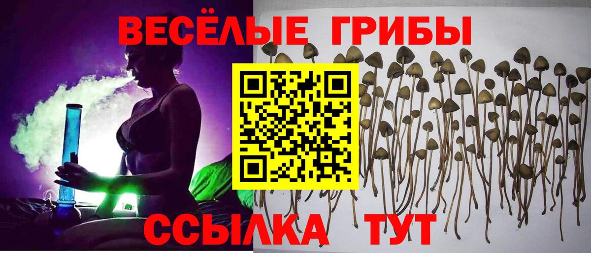ГАШ Янаул