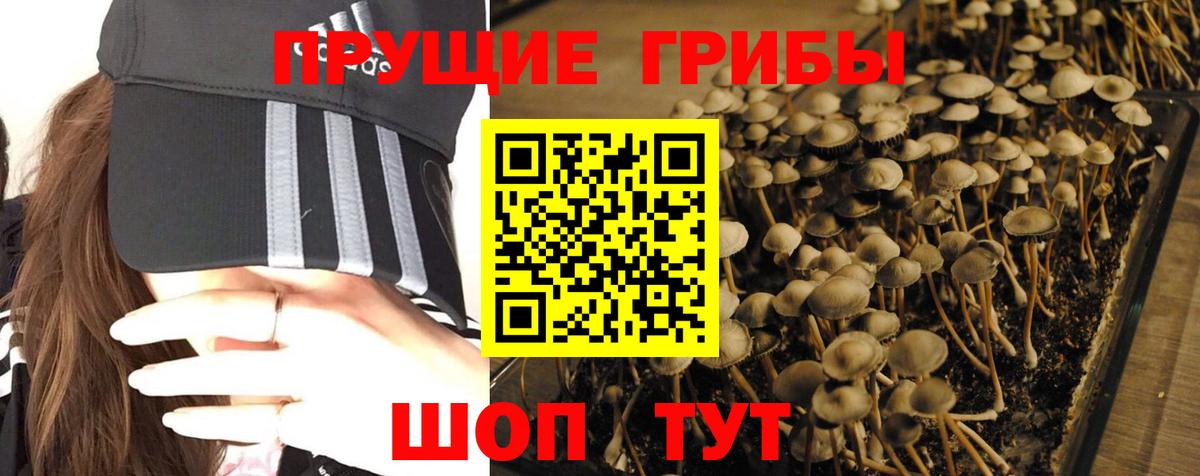 Галлюциногенные грибы прущие грибы Янаул